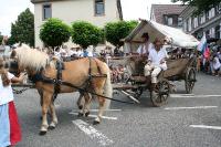 IMG_6490 (2) 